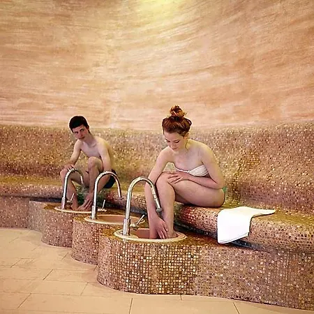 Vestina Wellness & 3* Мендзыздрое
