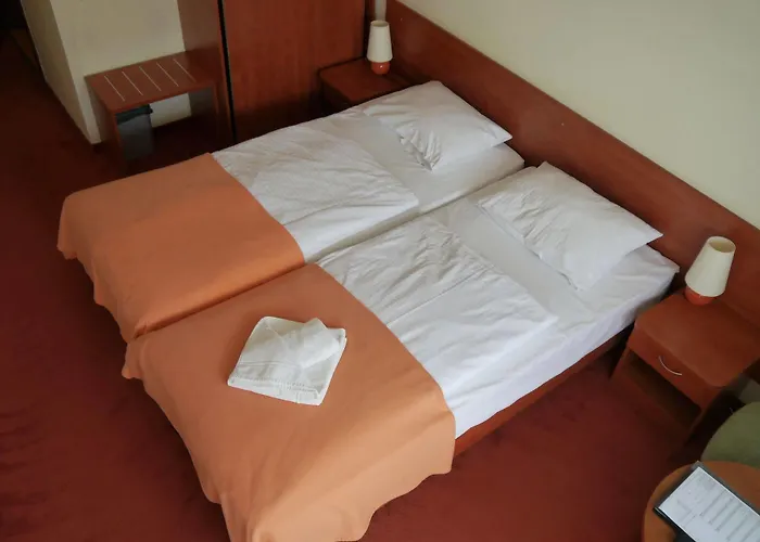 Hotel Vestina Wellness &